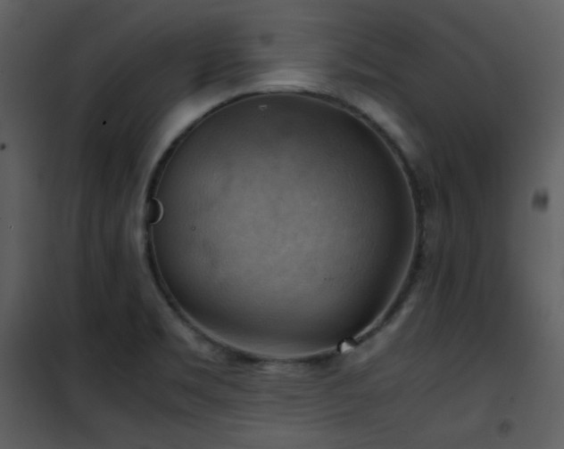 X0000102011469200807181217