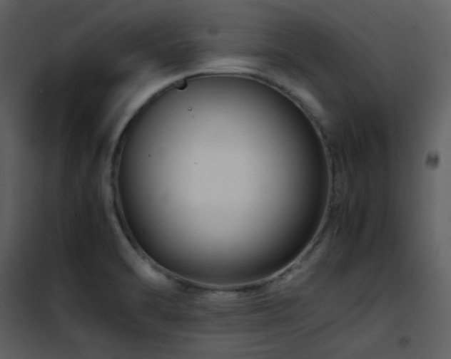 X0000102011470200807181217