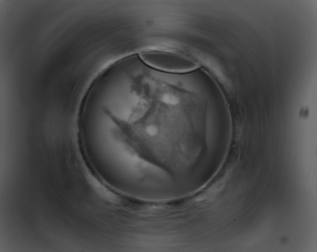 X0000102011471200807181217