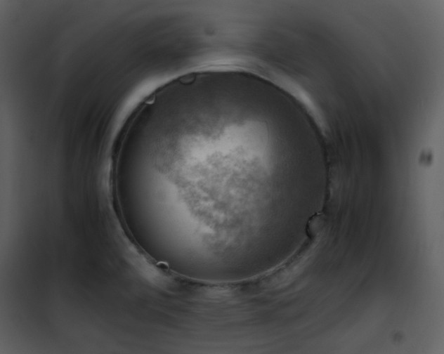 X0000102011472200807181216