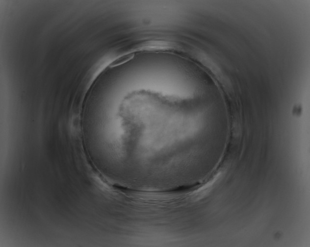 X0000102011473200807181216