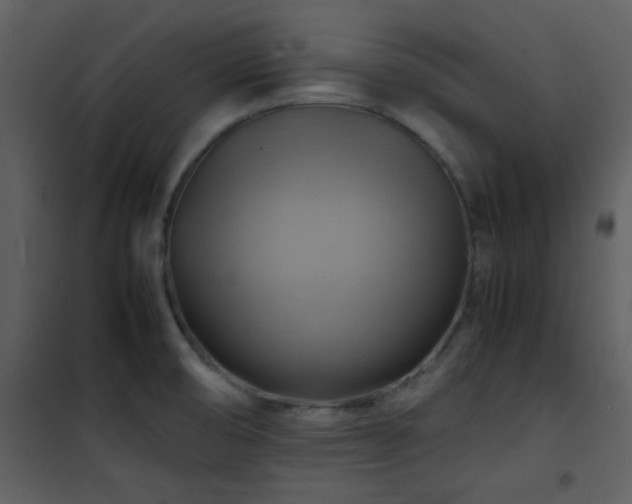 X0000102011474200807181216