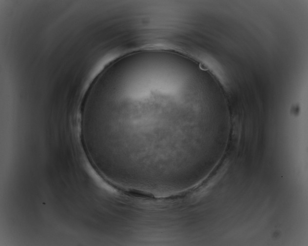 X0000102011476200807181216