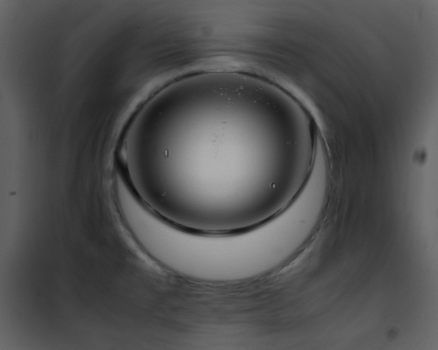 X0000102011477200807181216
