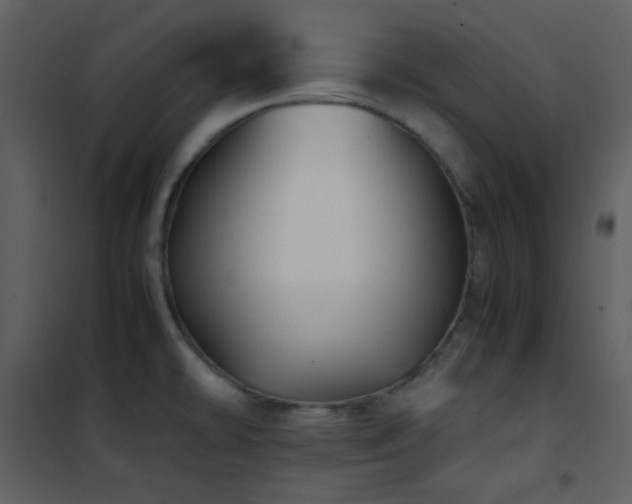 X0000102011478200807181216