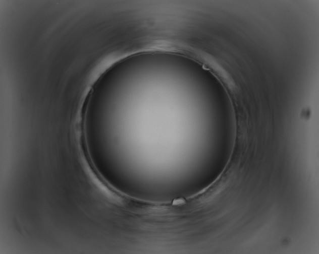 X0000102011479200807181216
