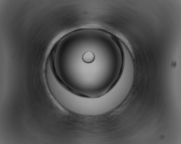 X0000102011480200807181216