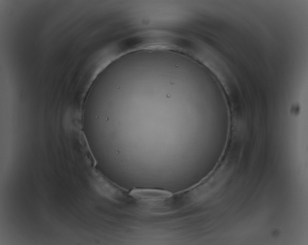 X0000102011481200807181216