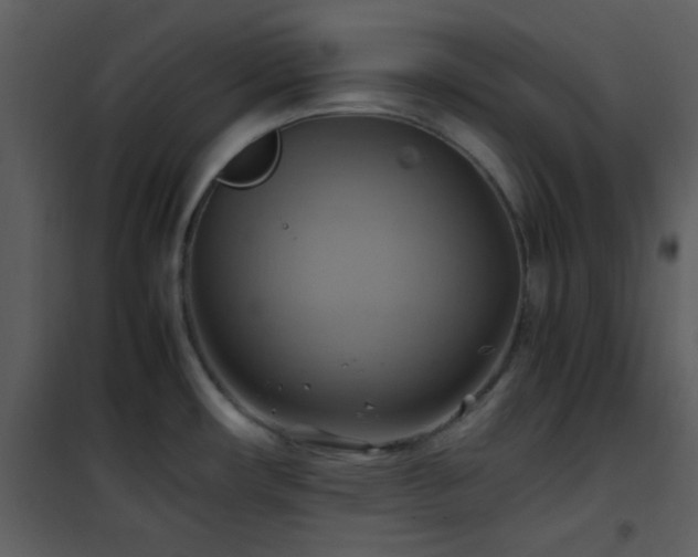 X0000102011482200807181216