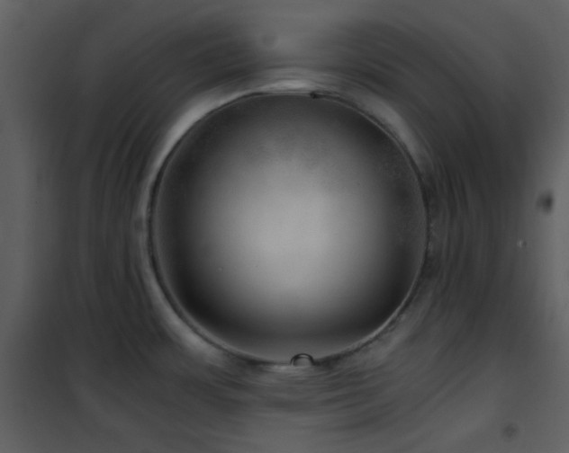 X0000102011483200807181216
