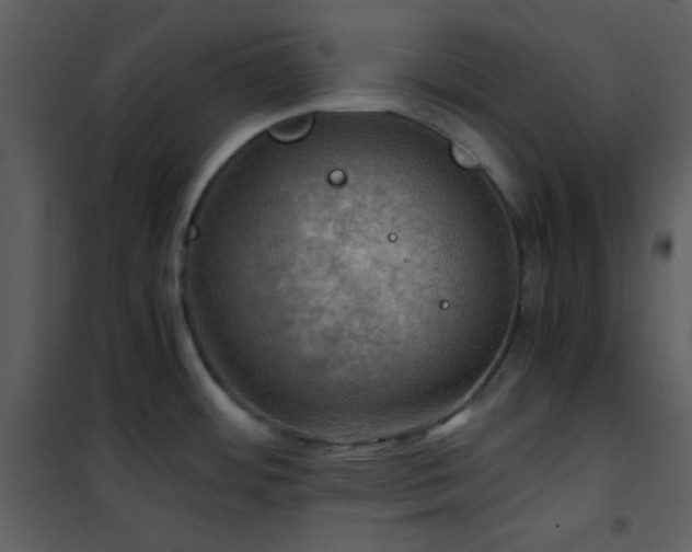 X0000102011484200807181216