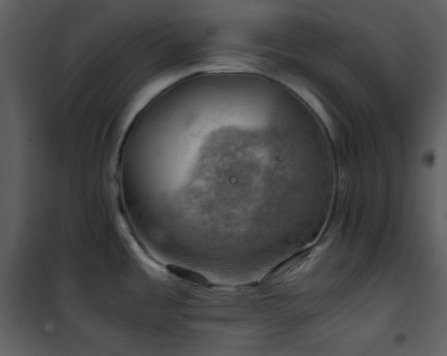 X0000102011485200807181216