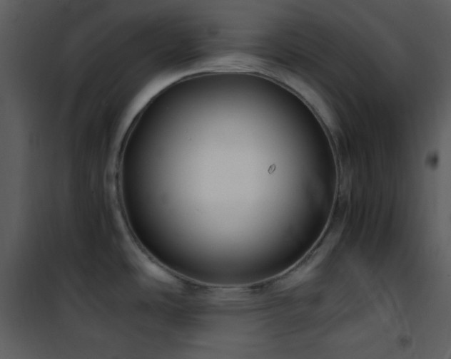 X0000102011486200807181216