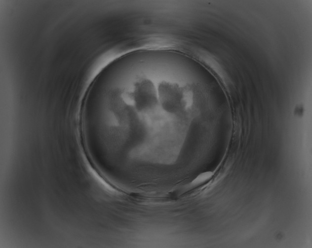 X0000102011487200807181216