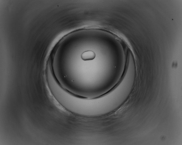 X0000102011488200807181216