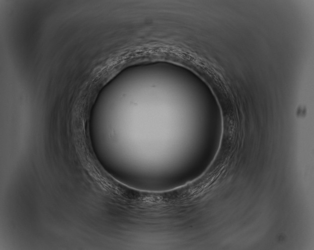 X0000102011489200807181216