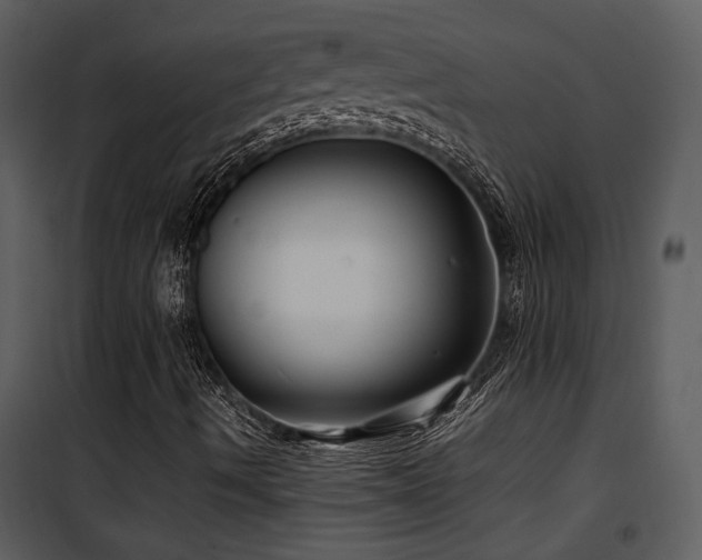 X0000102011490200807181216