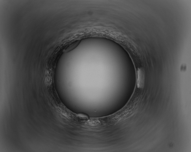 X0000102011491200807181216