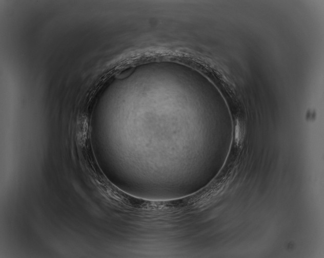 X0000102011492200807181216
