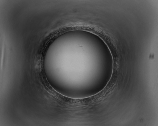 X0000102011493200807181216