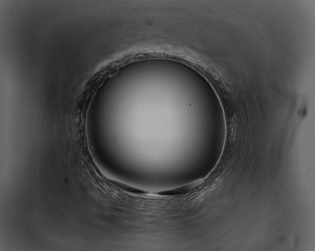 X0000102011494200807181216