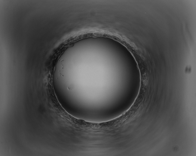 X0000102011495200807181216