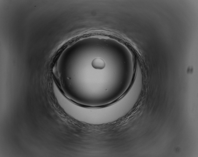 X0000102011496200807181216