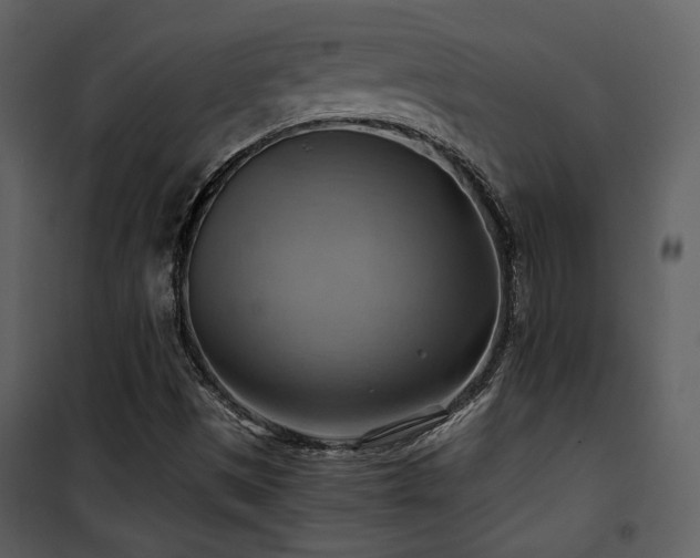 X0000102011497200807181216