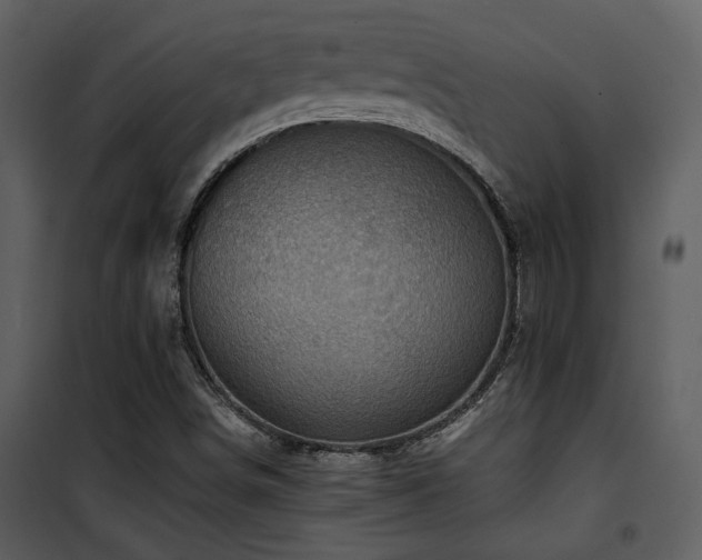 X0000102011498200807181216