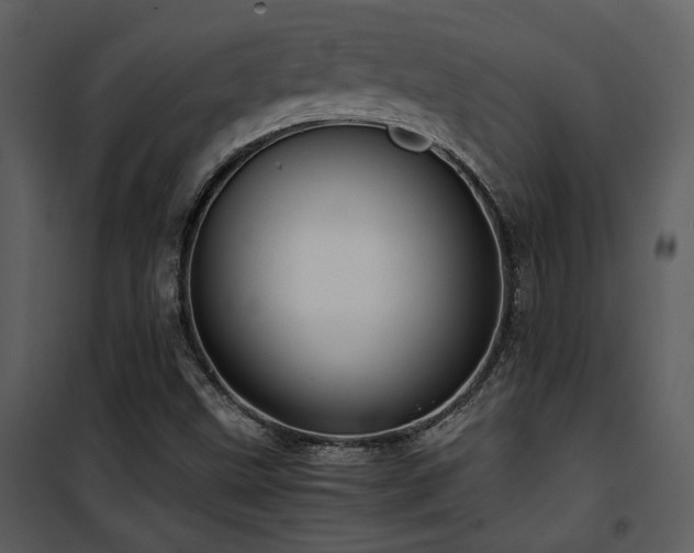 X0000102011499200807181216