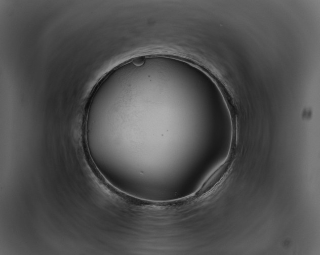 X0000102011500200807181216