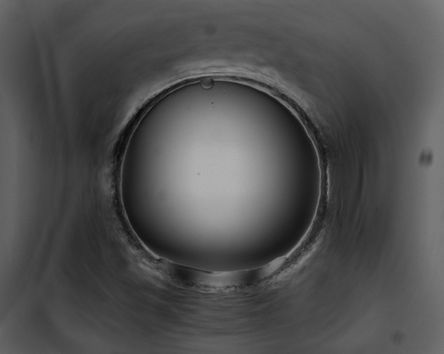 X0000102011501200807181216