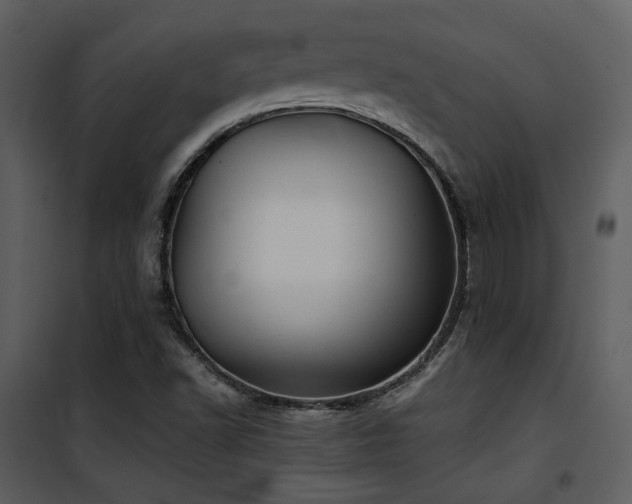 X0000102011502200807181216