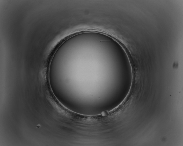X0000102011503200807181216