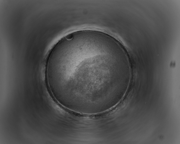 X0000102011504200807181216