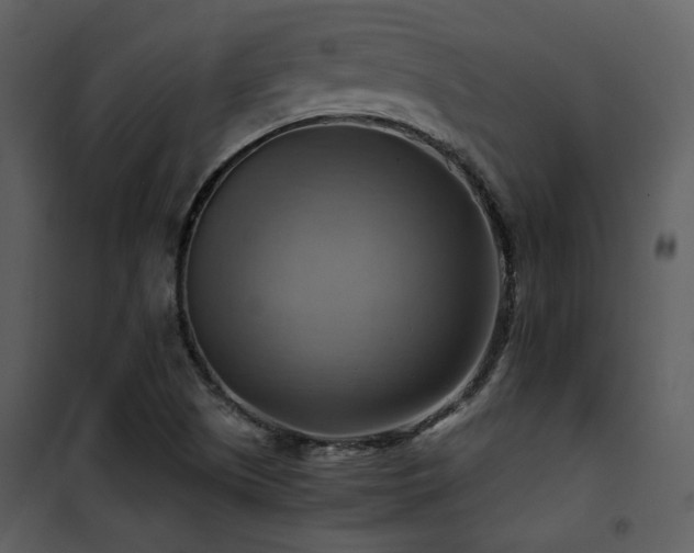 X0000102011505200807181216