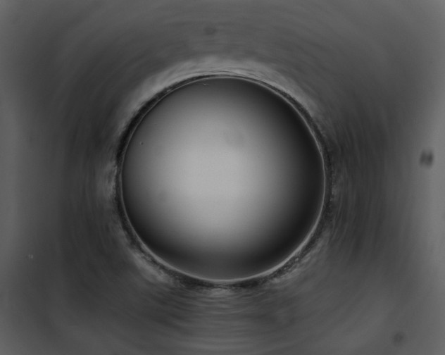 X0000102011507200807181216