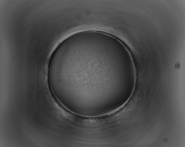 X0000102011508200807181216