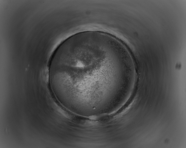X0000102011509200807181216