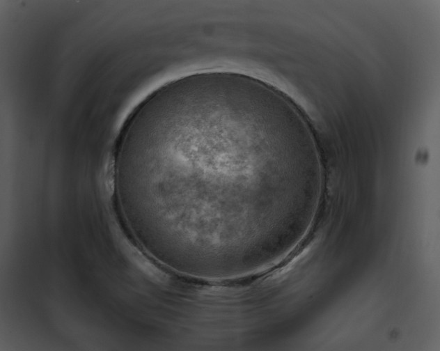 X0000102011510200807181216