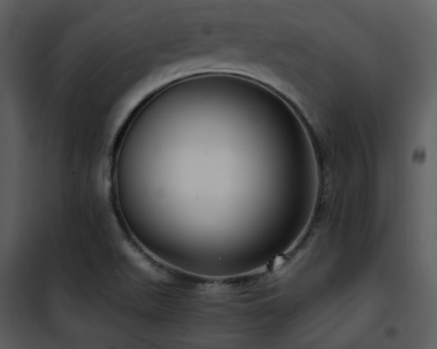 X0000102011511200807181216