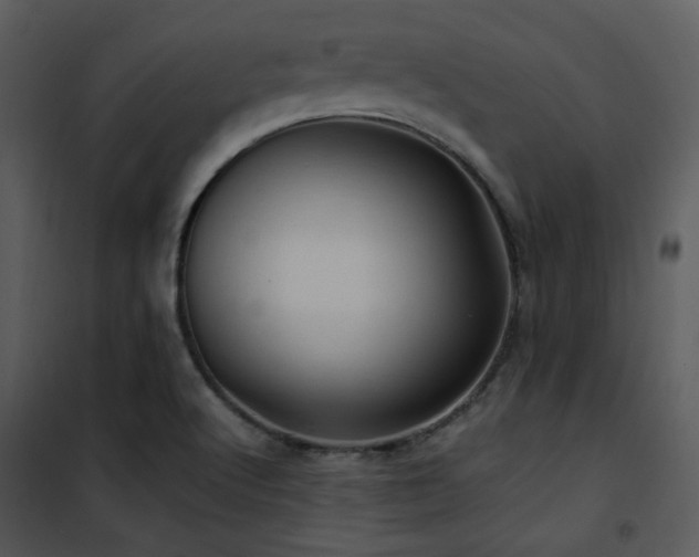 X0000102011512200807181216