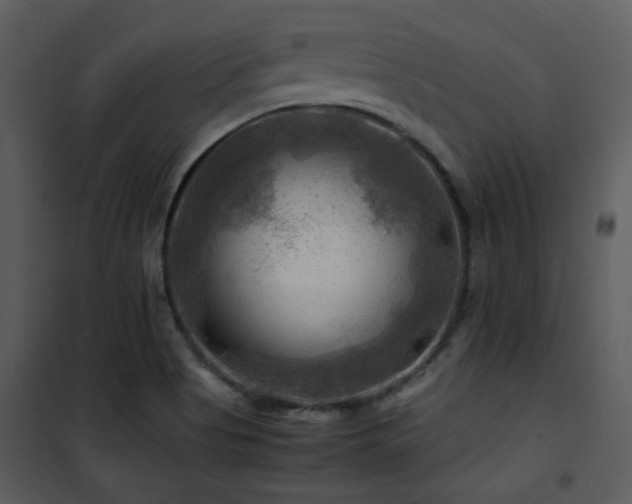 X0000102011513200807181216