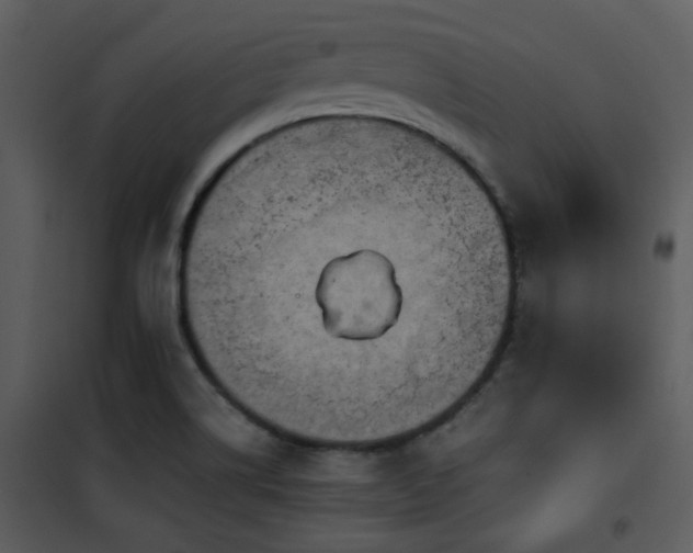 X0000102011514200807181216