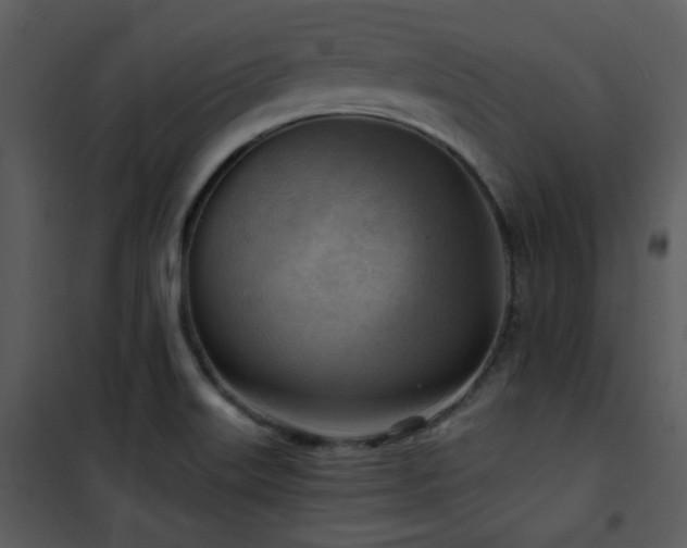 X0000102011515200807181216