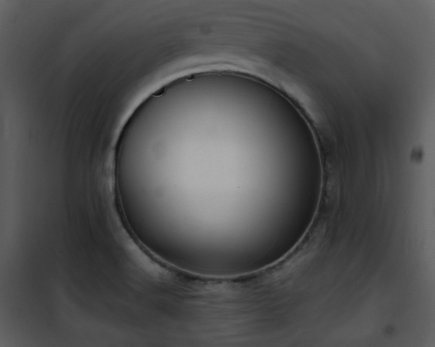 X0000102011516200807181216