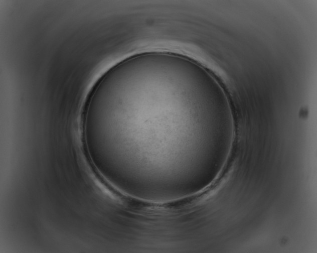 X0000102011517200807181216