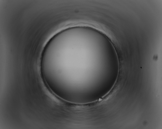 X0000102011518200807181216