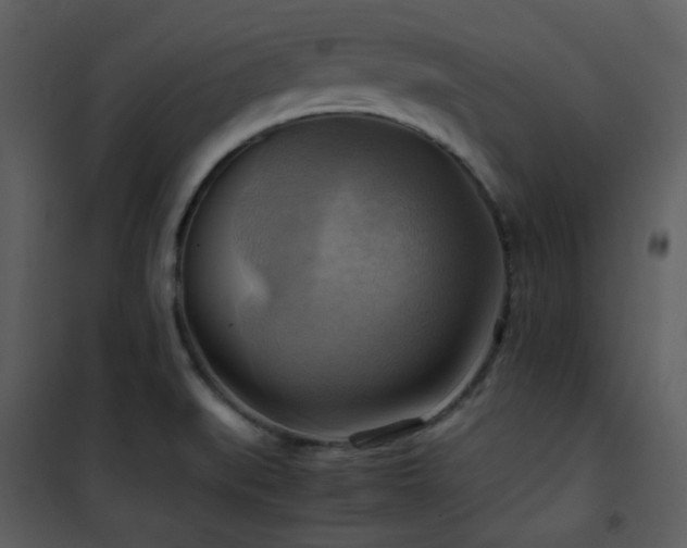X0000102011519200807181216