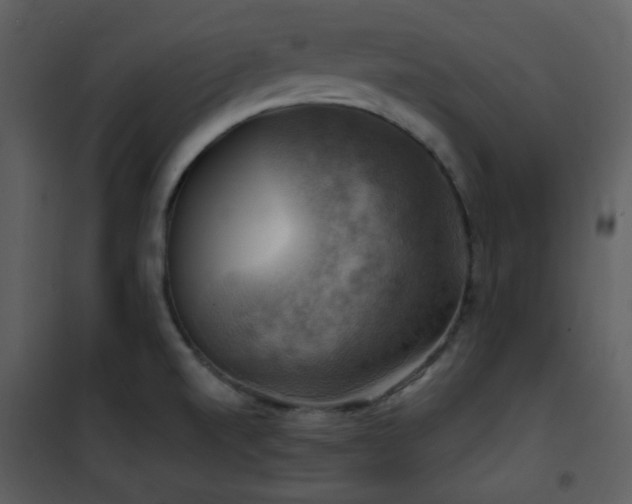 X0000102011520200807181216